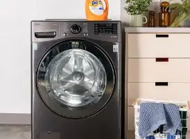 LG washing machine service